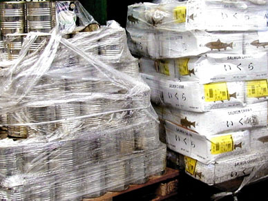 Biomüll Lebensmittelabfall