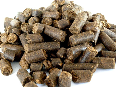 Biobrennstoffe