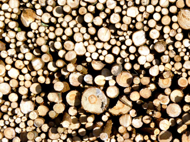 Holzstapel