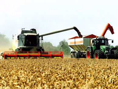 Landwirtschaft