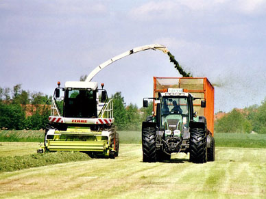 Landwirtschaftsarbeit