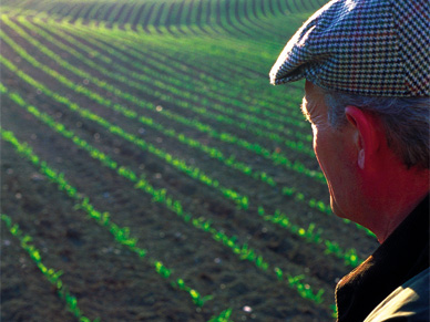 Landwirtschaft