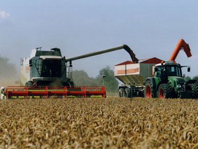 Landwirtschaft