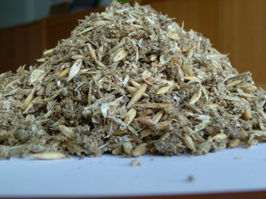Biobrennstoffe Holzhackschnitzel